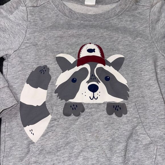 5t carters raccoon sweatshirt - Picture 2 of 2